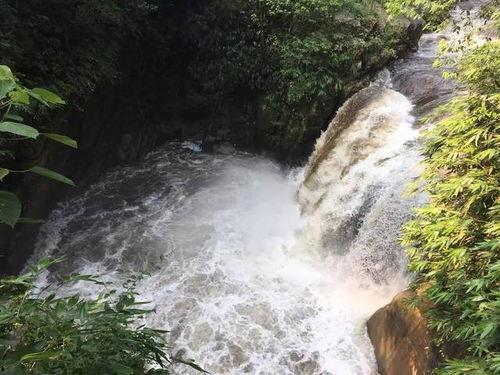 网友爆料山洪视频播放网站,惊险山洪视频曝光,网络平台引发热议  第1张 网友爆料山洪视频播放网站,惊险山洪视频曝光,网络平台引发热议  第1张