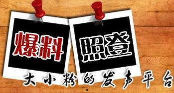 新闻爆料配乐叫什么,那首让人难忘的旋律究竟叫什么?