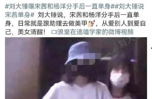 刘大锤爆料宋茜欧豪视频,恋情疑曝光?  第1张 刘大锤爆料宋茜欧豪视频,恋情疑曝光?  第1张