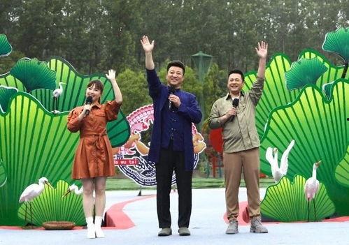 天涯最新爆料坠机案视频,坠机案最新视频曝光,真相渐浮水面